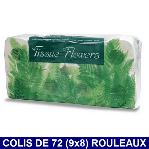 PAPIER WC ROULEAU MENAGER 250FTS OUATE PURE (72)